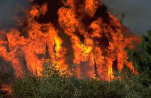 Природные пожары. Фото: http://www.newspax.ru