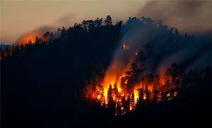 Лесные пожары. Фото: http://snegopad.net