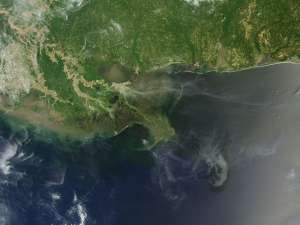 Разлив нефти в Мексиканском заливе. Фото: http://mygazeta.com