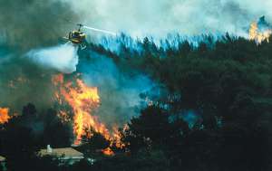 Лесные пожары. Фото: http://www.unep.org