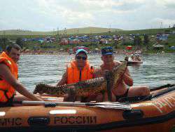 Крокодил на острове Шира. Фото: http://rg.ru
