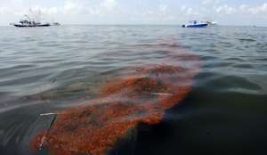 Китайская &quot;дочка&quot; ConocoPhillips заявила о новой утечке нефти в Бохайском заливе. Фото: http://rus.ruvr.ru