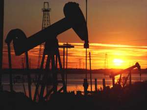 Нефтяники участвуют в экологических проектах. Фото: Двина-Информ