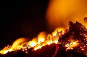 Лесной пожар. Фото: http://www.otlichno.ru