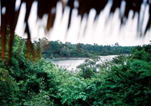 В лесах Амазонки (фото Felipe Neves).