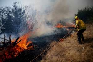 Лесные пожары. Фото: http://www.epochtimes.ru