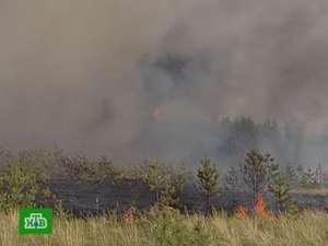 Пожары в Братске. Кадр НТВ с сайта http://medportal.ru