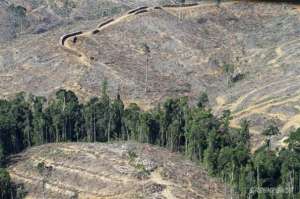 Индонезия, Суматра. Уничтоженные компанией APP леса. Фото: http://www.greenpeace.org