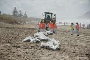 Волонтеры Гринпис помогают очистить северо-восточное побережье Новой. Фото: http://www.greenpeace.org