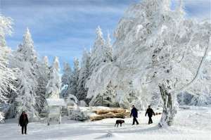 Зима. Фото: http://www.fresher.ru