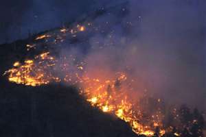 Лесной пожар в США. Фото: http://obozrevatel.ua