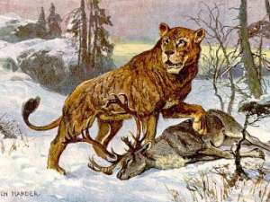 Пещерный лев. Иллюстрация Heinrich Harder, 1916 год