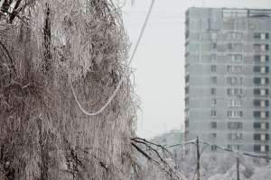 Ледяной дождь. Фото: http://bigpicture.ru