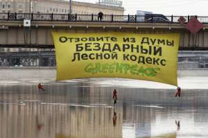 4 декабря 2011 года исполнится пять лет новому Лесному кодексу, разрушившему систему управления лесами России.  Фото: Greenpeace