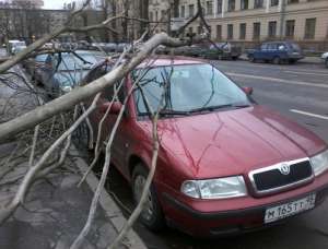 Последствия урагана в Петербурге. Фото: http://kp.ru