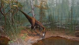 Страусы подсказали причину вымирания динозавров. Фото: Голос России