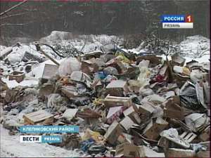 Заповедные леса Мещеры завалены тоннами мусора. Фото: Вести.Ru