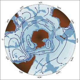 Антарктическое циркумполярное течение (ACC).