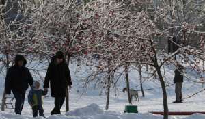 Зима-2012 в Москве оказалась теплее обычного. Фото с сайта Голос России