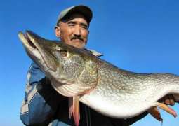 В Казахстане введены ограничения на вылов рыбы. Фото: http://www.kursiv.kz