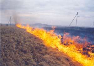 Поджоги травы. Фото: http://madeinpiter.ru