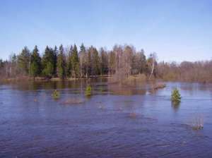 Разлив реки весной. Фото: http://mnogodetok.ru