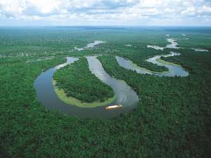 Леса Амазонии. Фото: http://opentrip.ru