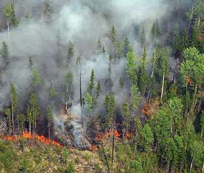 Лесной пожар в Сибири. Фото: http://dni.ru