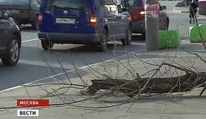 Ураган в Москве сдул балкон и повалил 70 деревьев. Фото: Голос России
