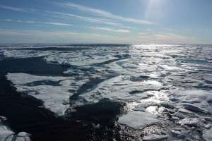 Северный Ледовитый океан. Фото: http://physorg.com