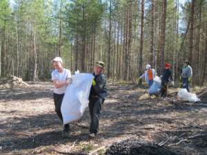 140 мешков мусора собрано в Сийском лесопарке (Архангельск). Фото: http://www.dvinainform.ru/