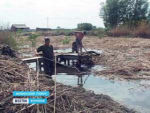 Река Курлак на грани экологической катастрофы. Фото: Вести.Ru