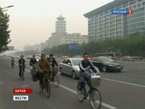 В Пекине регламентировали количество мух в туалетах. Фото: Вести.Ru