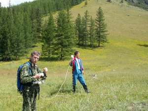 Как проходит полевой сезон 2012 года в Алтайском заповеднике. Фото: Алтайский заповедник