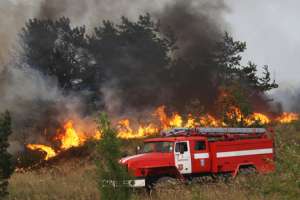 Тушение лесных пожаров в России. Фото: http://vesti.kz