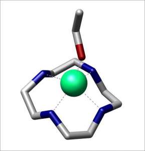 Простейший вариант комплекса цинка (зелёный) с лигандом цикленом (кольцо вокруг цинка с атомами азота, выделены синим). Цинк дополнительно координирован с молекулой этанола; на его месте мог быть СО2. (Иллюстрация Wikimedia.)