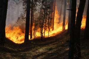 Природные пожары. Фото: http://www.tatar-inform.ru