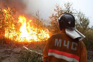 Лесные пожары. Фото: http://ktelegraf.ru