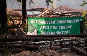 Защитники Химкинского леса вновь приостановили вырубку деревьев. Фото: http://www.svobodanews.ru