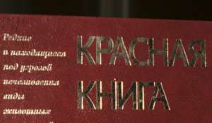 Красная книга. Фото: http://ruvr.ru