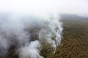 Лесные пожары в Якутии. Фото: http://sakhamediapost.ru