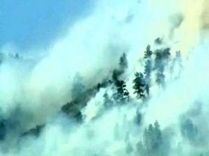 Огонь пожирает леса штата Колорадо. Фото: Вести.Ru