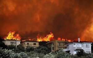 Лесные пожары близ Афин. Фото: http://www.infozoom.ru