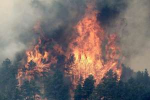 Лесные пожары в Колорадо. Фото: http://www.reporterus.com