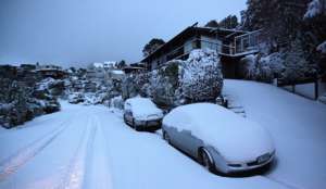 Новую Зеландию засыпает снегом. Фото: Голос России