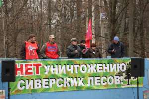 Сиверский лес: борьба продолжается. Фото: http://www.sensusnovus.ru