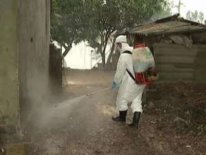 В Мексике зарегистрирована вспышка птичьего гриппа. Фото: Вести.Ru