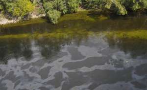 Масляные пятна на реке. Фото: http://www.itar-tass.com