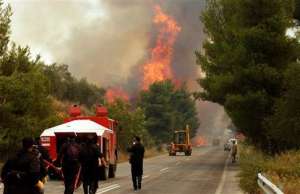 Лесные пожары в Греции. Фото: http://www.segodnya.ua