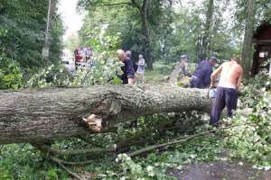 Последствия урагана в Польше. Фото: http://regnum.ru
